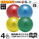 SDS EXERCISE BALL/エクササイズボール プロシリーズ グリーン/65cm ( #SDS-65 / JSD10257224 )【 D&M 】【 D&M ヨガボール 】【14CD】