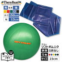 お家でエクササイズ2点セット セラバンドブルー(強)1.5m & ソフトギムニク 表面凸凹なし 1個 室内 エクササイズ 小冊子付 トレーニング ゴム ソフトジム 送料無料 公式 正規品 チューブ リハビリ 筋トレ 高齢者 ストレッチ ヨガ ダイエット バランス ボール(4)