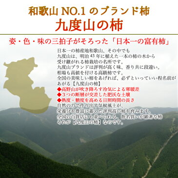 九度山 の 富有柿【秀品 3L サイズ】送料無料たっぷり7.5kg!約24個入り名産地、和歌山【九度山】ブランドの極上大玉!姿・色・味が揃った高級品、ご贈答にお勧めです!!