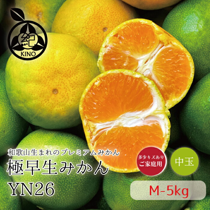 みかん 和歌山県産 産地直送 送料無料【 M サイズ 5kg 】訳あり 家庭用みかん YN26 温州みかん 紀南みかん 極早生 早生 秋みかん甘い ジューシー お取り寄せ 糖度 高糖度 濃厚 中玉和歌山 紀南 田辺 フルーツ 秋のフルーツ 果物 紀州の旬マルシェ紀ののサムネイル