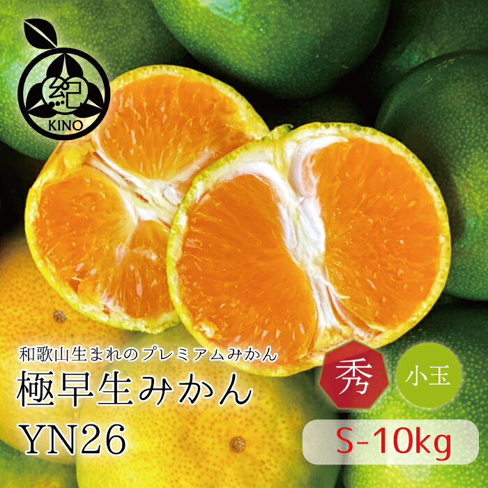 みかん 小玉 和歌山県産 産地直送 送料無料【 秀品 S サイズ 10kg 】ギフト 贈答用YN26 温州みかん 紀南みかん 極早生 早生 秋みかん 小玉みかん甘い ジューシー お取り寄せ 糖度 高糖度 濃厚和歌山 紀南 田辺 フルーツ 秋のフルーツ 紀州の旬マルシェ紀ののサムネイル