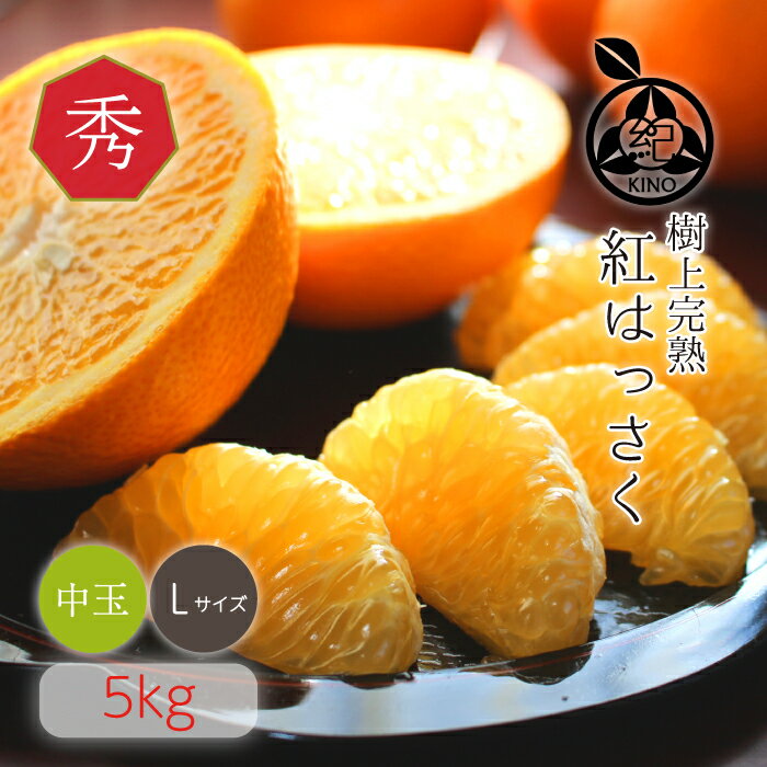 みかん 紅はっさく 送料無料【秀品 L サイズ 5kg】和歌山県 紀南産 希少な樹上完熟見た目の美しい秀品 ギフトにもおすすめです昭和26年創業 目利きで選ぶこだわりみかん産地より直送 新鮮なままお届けします