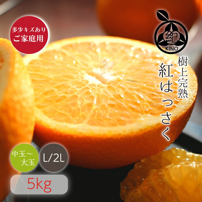 みかん 紅はっさく 送料無料【L/2Lサイズ 5kg】多少キズありご家庭用和歌山県 紀南産 希少な樹上完熟昭和26年創業 目利きで選ぶこだわりみかん産地より直送 新鮮なままお届けします