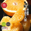 完熟 木成り はっさく 送料無料【 秀品 Lサイズ (中玉) 3kg 】希少な樹上完熟 酸味が少なく濃厚な甘味が特徴です見た目の美しい秀品 ギフトにもおすすめで...