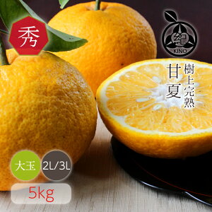 ڽ Ų ̵  2L/3L () 5kg ۴ʼ崰 ڽϤ٤ξ դǤϤޤܤ եȤˤ⤪Ǥ26ǯ϶ ֤ߤϤľ ʤޤޤϤޤ