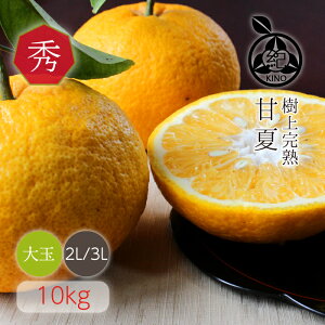 ڽ Ų ̵  2L/3L () 10kg ۴ʼ崰 ڽϤ٤ξ դǤϤޤܤ եȤˤ⤪Ǥ26ǯ϶ ֤ߤϤľ ʤޤޤϤޤ