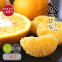 木熟 甘夏 送料無料【 2L/3Lサイズ (大玉) 5kg 】多少キズありご家庭用希少な樹上完熟 木熟と鮮度の証 葉付きでお届けします昭和26年創業 目利きで選...
