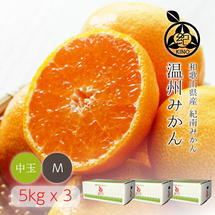 完熟 みかん 和歌山県産 産地直送 送料無料【5kgx3箱】濃厚な甘みがギュッと詰り果汁たっぷりの温州みかんMサイズ 中玉サイズ ご家庭用 訳あり早生みかん 完...