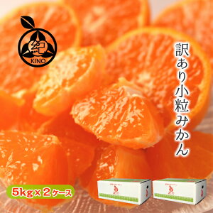 小玉みかん 訳あり 送料無料【5kgx2箱】濃厚な甘みがギュッと詰まった 薄皮 小粒みかん当店人気のSSからSサイズに厳選!果皮にキズがあるものをお得な価格で♪みかん 温州みかん 小粒 小玉 完熟 糖度 甘い和歌山 紀南 家庭用 紀の