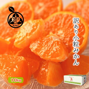 小玉みかん 訳あり 送料無料【10kg】濃厚な甘みがギュッと詰まった 薄皮 小粒みかん当店人気のSSからSサイズに厳選!果皮にキズがあるものをお得な価格で♪みかん 温州みかん 小粒 小玉 完熟 糖度 甘い和歌山 紀南 家庭用 紀の