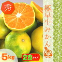 【ご予約】小粒みかん 5kg 【送料無料】 極早生 温州みかん【秀品 SS サイズ 5kg】和歌山 みかん 実店舗含む年間発送数1万件以上の実績!紀州 紀南 田辺 地方の糖度が高いみかんをお届けいたします