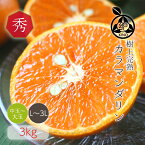 カラマンダリン 送料無料 【 秀品 L/2L/3L(中玉から大玉)サイズ 3kg 】希少な濃厚柑橘強い甘味と深いコクが特徴です見た目の美しい秀品 ギフトにもおすすめです昭和26年創業 目利きで選ぶこだわりみかん産地より直送 新鮮なままお届けします