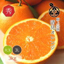 清見オレンジ 送料無料 【 秀品 3L(大玉)サイズ 3kg 】希少な樹上完熟 木熟と鮮度の証 葉付きでお届けします見た目の美しい秀品 ギフトにもおすすめです昭和26年創業 目利きで選ぶこだわりみかん産地より直送 新鮮なままお届けします