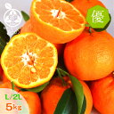 ◆葉付 ポンカン 訳あり【送料無料】◆優品 L/2L サイズ...