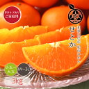 せとか 送料無料【 M〜3Lサイズ 小玉から大玉 3kg 】多少キズありご家庭用太陽の恵みをたっぷり浴びて育った露地栽培のせとかです昭和26年創業 目利きで選ぶこだわりみかん産地より直送 新鮮な…