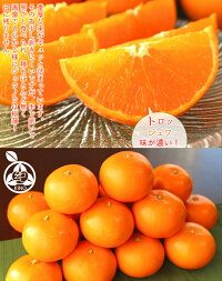 ◆紀州せとか【ご贈答用】◆最上級の食味「せとか」とろける甘味!【秀品】L/2Lサイズ5kg和歌山みかん実店舗年間発送数3000件以上!!紀州紀南田辺地方の糖度が高いみかんをお届けいたします【送料無料】