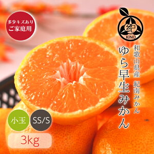 ゆら早生みかん 送料無料【 SS/S サイズ 3kg 】多少キズありご家庭用秋みかんの最高峰 随一のコクと甘さギュッと身が詰まり フクロが薄い昭和26年創業 目利きで選ぶこだわりみかん産地より直送 新鮮なままお届けします