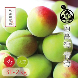 南高梅 青梅 送料無料 【本場紀州産】【秀品 3L サイズ 2kg】産地の市場で厳選したブランド梅を、その日のうちに丁寧に手詰めし発送致します和歌山 みなべ 田辺 予約梅酒用 梅シロップ用 梅ジュース用 生梅 大玉 大粒 紀の