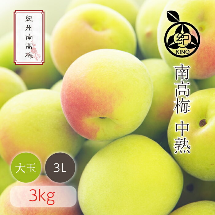 南高梅 送料無料 【本場紀州産】中熟【 3L サイズ 3kg