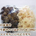 商品画像2