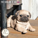 伏せするわんこ《 パグ (11cm)》〔 WOOBIA ウービア ガーデニング 犬 置物 子犬 北欧 おしゃれ ガーデン雑貨 動物 ガーデニング雑貨 かわいい 可愛い リアル ナチュラル 庭 玄関 屋外 オブジェ イギリス アニマル ウェルカム エクステリア インテリア 〕