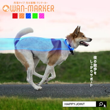 光る首輪 充電式 WAN-MARKER CHARGE（ワンマーカー チャージ）《全5色》〔夜 犬 散歩 ライト LED 犬用品 首輪 光る 犬の首輪 USB充電 犬 リード ライト 安全グッズ おしゃれ かわいい 大型犬 中型犬 小型犬 犬の散歩 事故防止〕[M便 1/4]