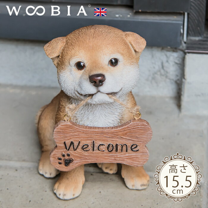 зޤ󤳡 ĸ (15.5cm)ա 륫  welcome ʪ ǥ˥  ʪ ̲  ǥ󻨲 ưʪ ǥ˥󥰻 襤 ʥ   ֥ ꥹ ˥ޥ ƥꥢ ƥꥢ WOOBIA ӥ 