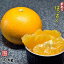 【訳あり】 はっさく 10kg 和歌山県産 【送料無料】(北海道・沖縄県は別途送料1500円)/八朔 家庭用 果物 柑橘 食品 健康 健康維持 冬 ビタミン 風邪 予防 ジューシ— 採れたて
