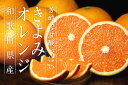 【送料無料】 訳あり きよみオレンジ10kg (北海道・沖縄