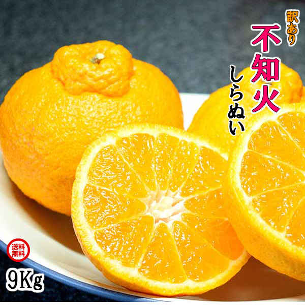 【訳あり】不知火 しらぬい 9kg(デコポン同品種) 和歌山県産【送料無料】（北海道・沖縄県は送料1700円）のサムネイル