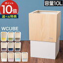 ごみ箱 日本製 YK06-012 北欧 和室 ごみばこ 角型 プレゼント 一人暮らし スリム 四角 木製 リビング コンパクト 小さい ゴミ箱 角形 キッチン ギフト ダブルキューブ ヤマトジャパン 手作り 10リットル 分別 おしゃれ 木目 10L W-CUBE ダストボックス シンプル(3)