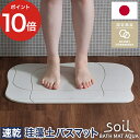 珪藻土 バスマット アクア【ポイント10倍 送料無料】soil アスベスト未使用 日本製 ソイル お風呂場 珪藻土バスマット おしゃれ 滑りにくい 人気 足元 足拭き 快適 人気 かわいい 北欧 国産 速乾 吸収 浴室マット ギフト プレゼント soil BATH MAT aqua