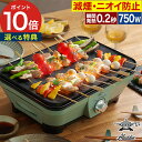 Aladdin グラファイトミニグリラー 【選べるW特典付き 365日出荷】 750W グリーン 280度 火力調整 ホットプレート 遠赤外線 遠赤グラファイト...