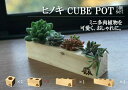 大山ひのきキューブポット 5点セット福袋 送料無料 多肉植物 木製 植木鉢 ミニポット 北欧 印鑑立て デスクワーク 卓上 観葉植物 プランター おしゃれ 寄せ植え セダム ナチュラル クリスマス 印鑑スタンド ギフト hole