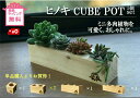 大山ひのきキューブポット 5点セット福袋 送料無料 多肉植物 木製 植木鉢 ミニポット 北欧 印鑑立て デスクワーク 卓上 観葉植物 プランター おしゃれ 寄せ植え セダム ナチュラル クリスマス 印鑑スタンド ギフト hole