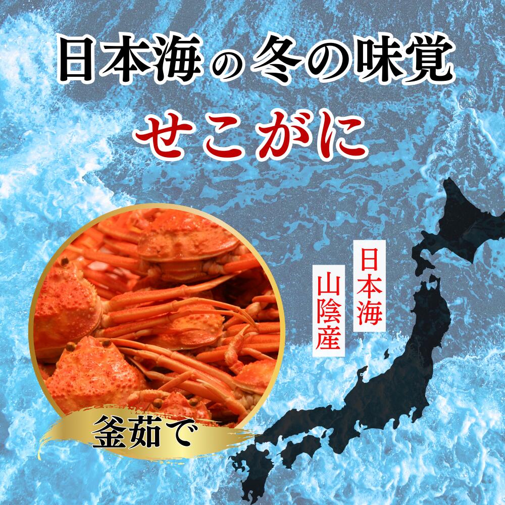 【ポイント2倍】せこがにご飯 一人前 せこめし 日本海産 松葉がに せいこがに こっぺがに 香箱ガニ かに カニ 蟹 カニ味噌 身出し グルメ 母の日 父の日 ギフト 誕生日 贈答用 贈り物 プレゼント お取り寄せ 冷凍