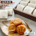 紀州南高梅「華梅」個包装 12粒 大粒 ギフト お歳暮 母の日 父の日 お中元 贈り物 贈答品 プレゼント