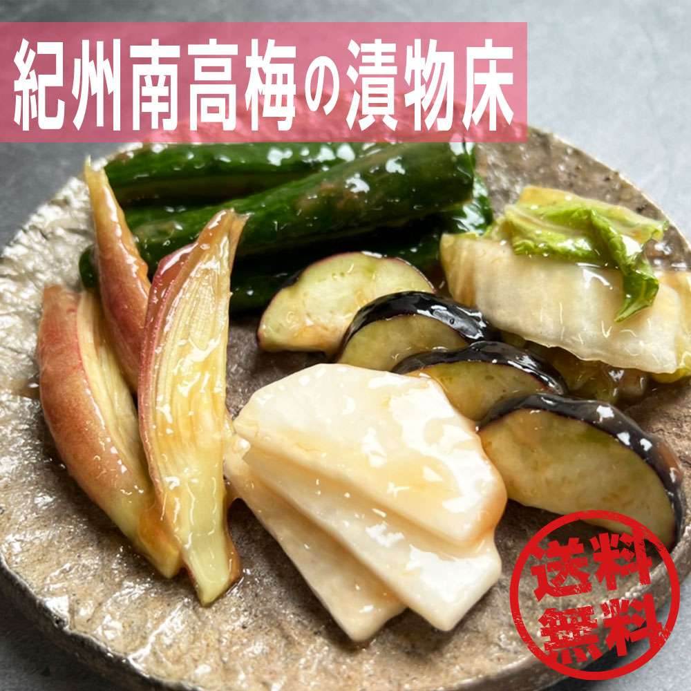 漬物 梅干し つぶれ梅 ねり梅 浅漬けの素 送料無料 紀州南高梅の漬物床 ぬか床 紀州南高梅 梅 梅どこ あっさり漬 梅漬け 簡単 300g 野菜 夏野菜 健康食品 保存食品 時短 腸活 レシピ