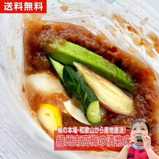 漬物 梅干し つぶれ梅 ねり梅 浅漬けの素 送料無料 紀州南高梅の漬物床 ぬか床 紀州南高梅 梅 梅どこ あっさり漬 梅漬け 簡単 300g 野菜 夏野菜 健康食品 保存食品 時短 腸活 レシピ 漬物 梅干し つぶれ梅 ねり梅 浅漬けの素 送料無料 紀州南高梅の漬物床 ぬか床 紀州南高梅 梅 梅どこ あっさり漬 梅漬け 簡単 300g 野菜 夏野菜 健康食品 保存食品 時短 腸活 レシピ