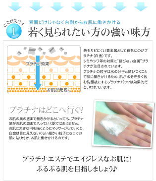 最高級・プラチナ箔 ブックタイプ「112mm角/100枚」