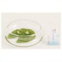 金箔入硝子開運置物「かえるの水盤セット」