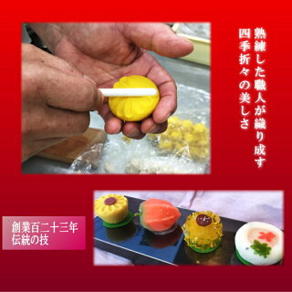 【送料無料】季節の上生菓子と栗どら杏どらセット