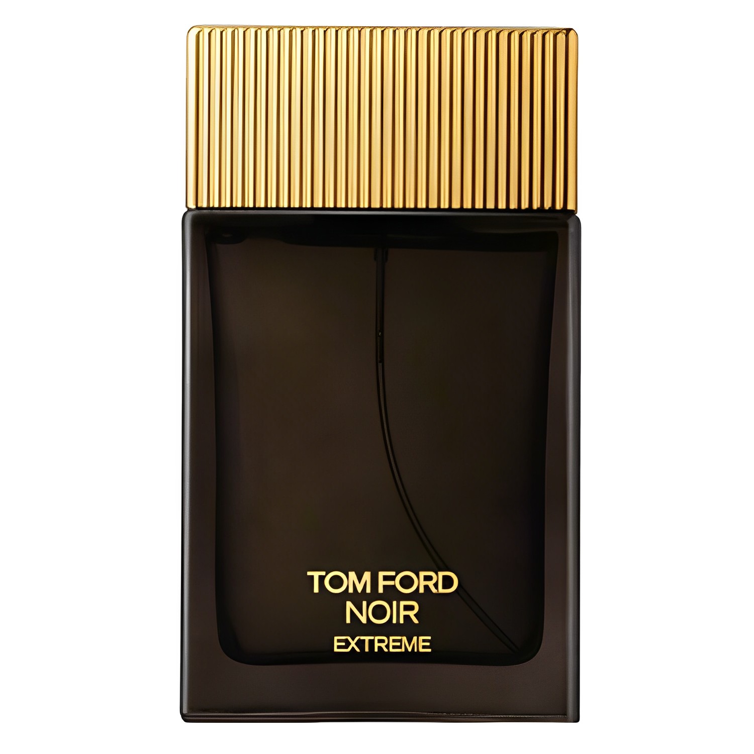 yTvtzTOM FORD NOIR EXTREME EDP 100mL [ ͂ZۗĂAȂ̂߂̍ sAi