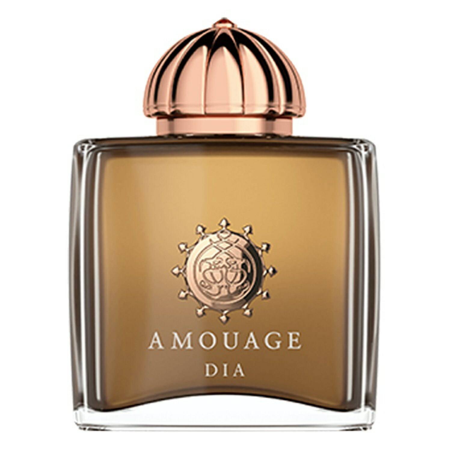 【無料サンプル付】AMOUAGE DIA WOMAN EDP 100mL ー 個性を際立てる魅惑の香り 並行輸入品