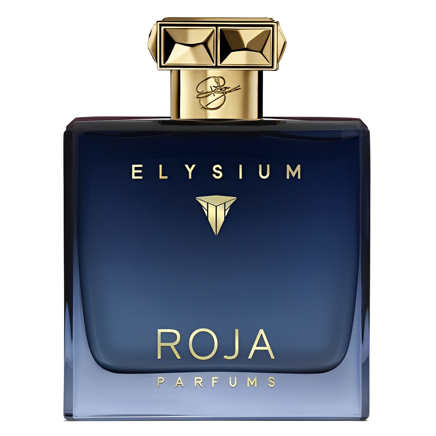 【無料サンプル付】ROJA ELYSIUM POUR HOMME Parfum 100mL ー 女性らしさや優雅さを演出する、清潔感あふれる自然の香り 並行輸入品