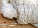 【綿スラブ(細)(生成・かせ)】 変化のある綿糸をお探しの方にオススメです。手織りの方にも手編みの方にも。