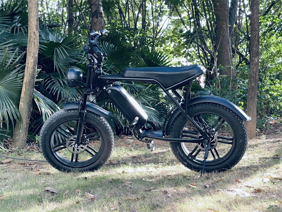 OUXiオクシ20インチファットバイクアシスト電動自転車マウンテンバイク750Wモーター48V15An大容量バッテリー電動マウンテンバイクスノーホイールフル電動アシストキャストホール