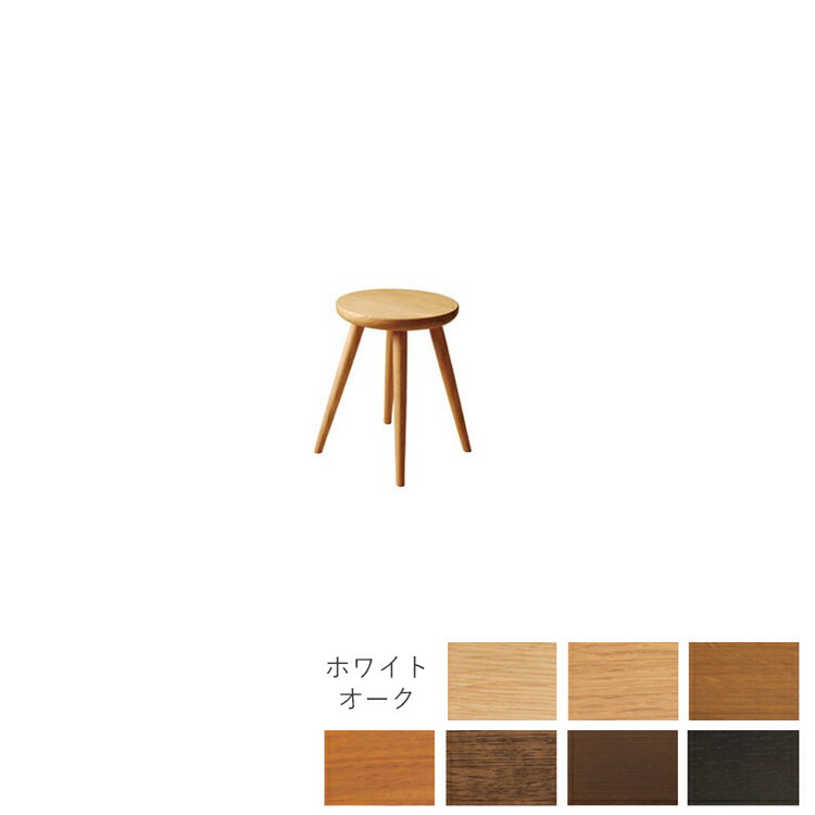 SD601 ġ Standard Collection ɥ쥯 ͻ