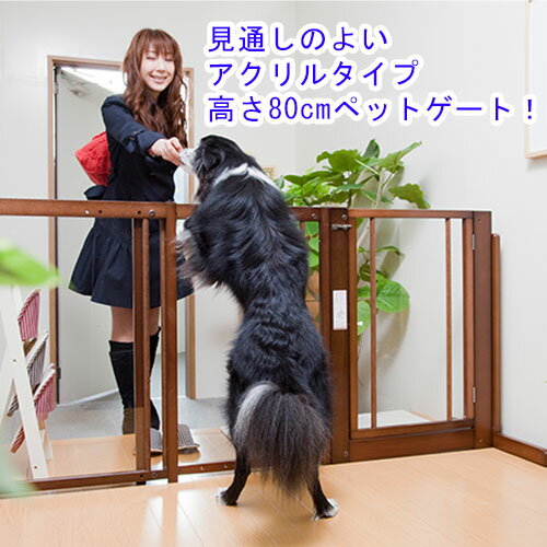 kiinus キーヌス [ スタンドゲート F 80A アクリル ] 犬用 ペットゲート 横幅 127.5cmから173cm ペットフェンス 長い ドア付き 置くだけ 室内用 木製 ペット家具 日本製