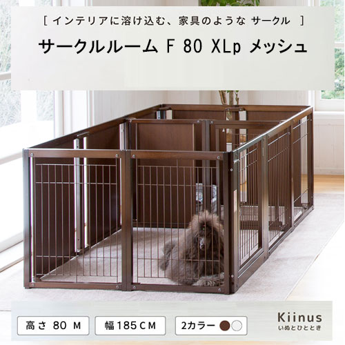 kiinus(̥) [ 롼 F 80XLp å ]  ڥåȥ XLp(185cmx125cm) ¿Ƭ 륱 淿 緿   ڥåȲȶ 